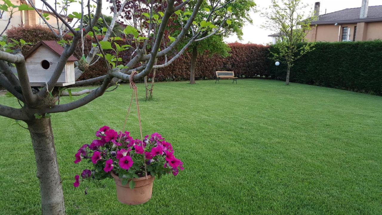 Il Farfasole Bed and Breakfast Vigonovo  Eksteriør billede