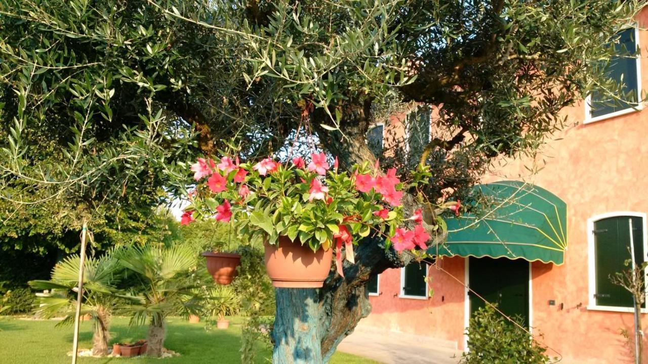 Il Farfasole Bed and Breakfast Vigonovo  Eksteriør billede