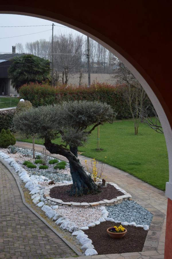 Il Farfasole Bed and Breakfast Vigonovo  Eksteriør billede